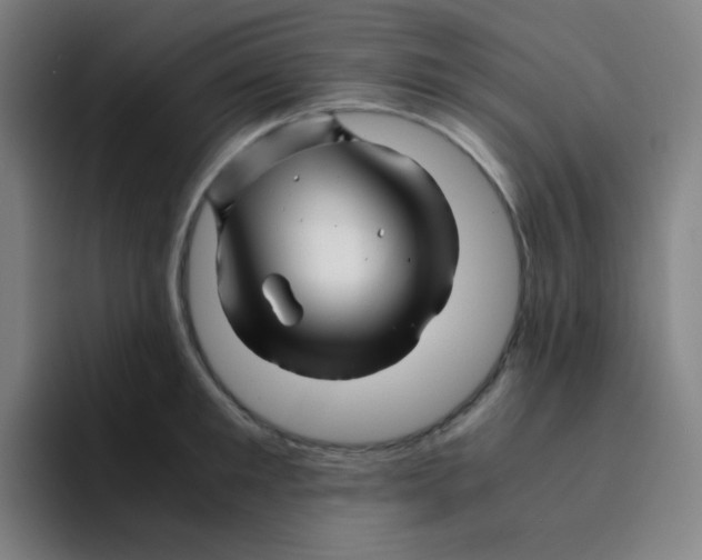 X0000094930901200712271550