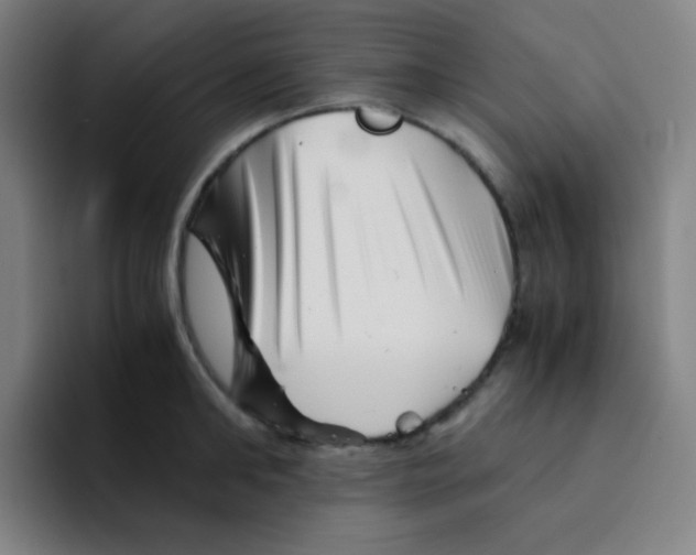 X0000094930902200712271550