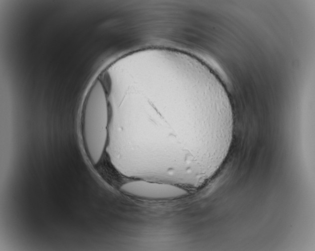 X0000094930903200712271550