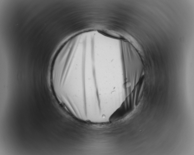 X0000094930904200712271550