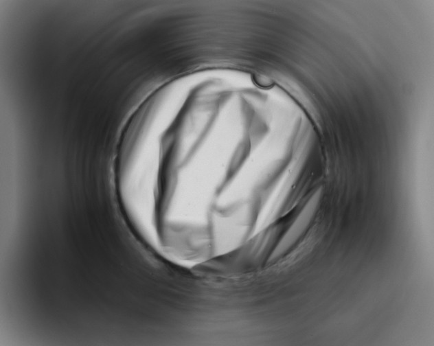 X0000094930906200712271550