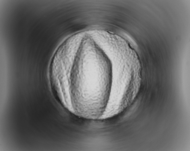 X0000094930907200712271550