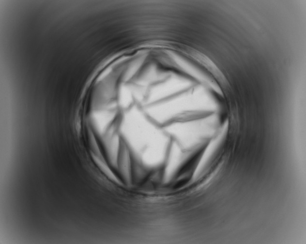 X0000094930908200712271550