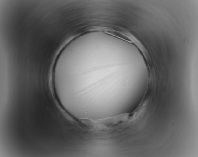 X0000094930909200712271550