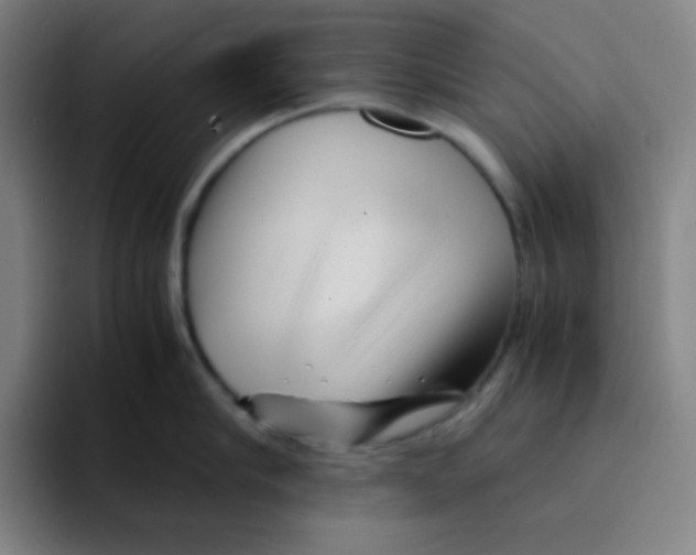 X0000094930910200712271550