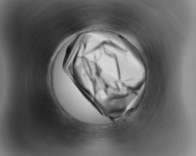 X0000094930912200712271550