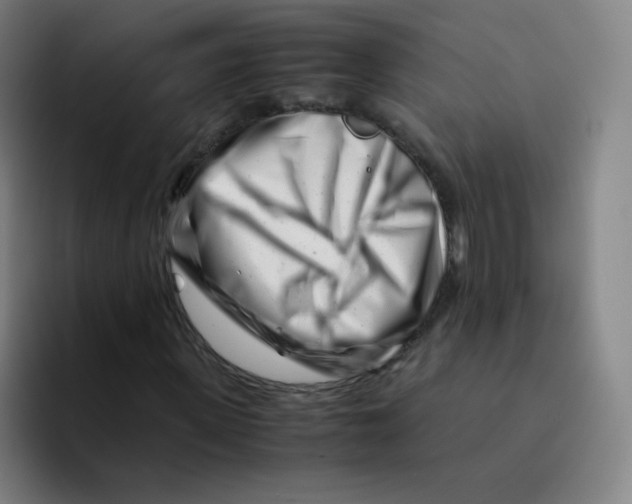 X0000094930915200712271549