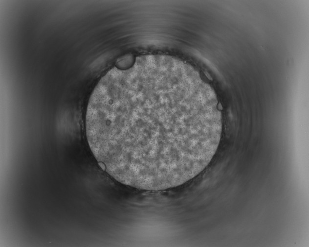 X0000094930918200712271549
