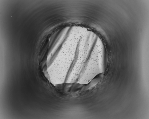 X0000094930920200712271549