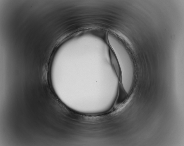 X0000094930921200712271549