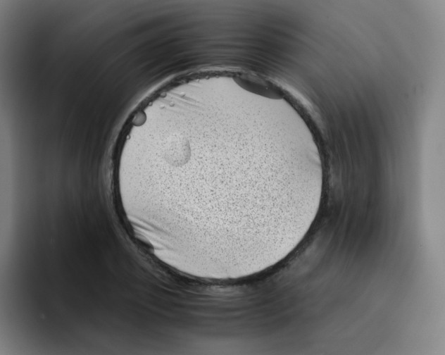 X0000094930933200712271550