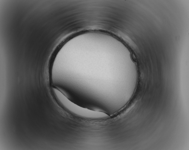 X0000094930934200712271550