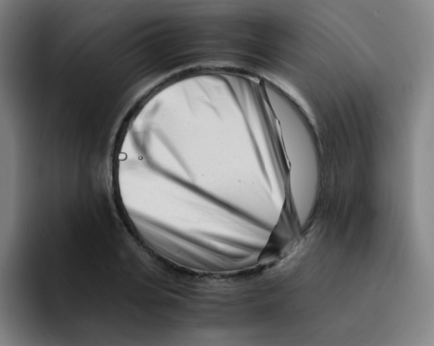X0000094930935200712271550