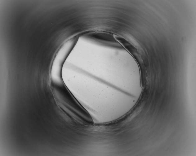 X0000094930940200712271550