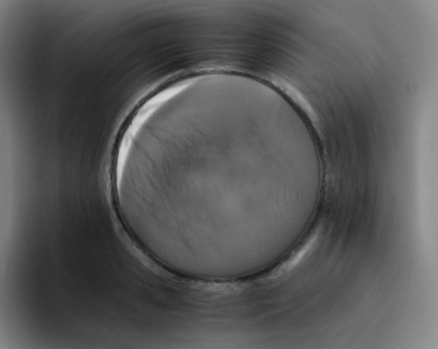 X0000094930941200712271550