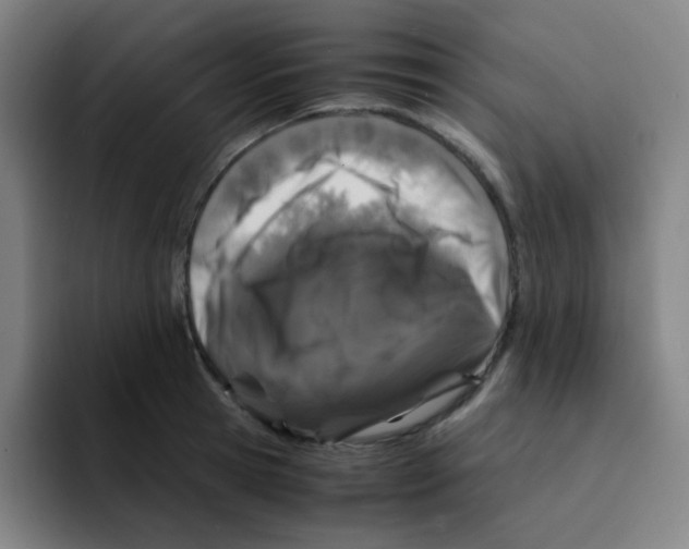 X0000094930945200712271550