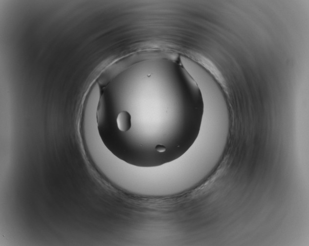 X0000094930946200712271550