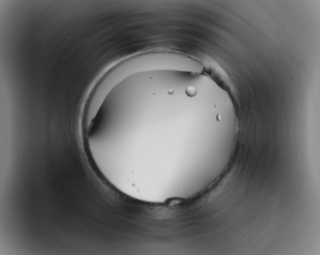 X0000094930947200712271550