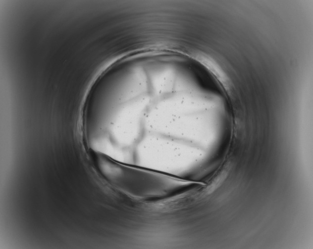 X0000094930948200712271550