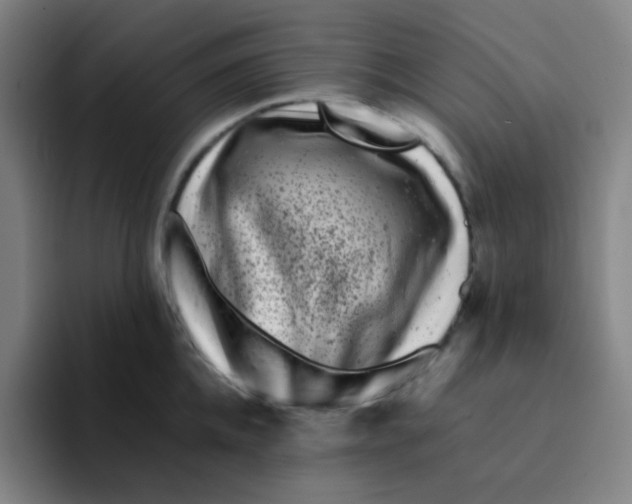 X0000094930952200712271550