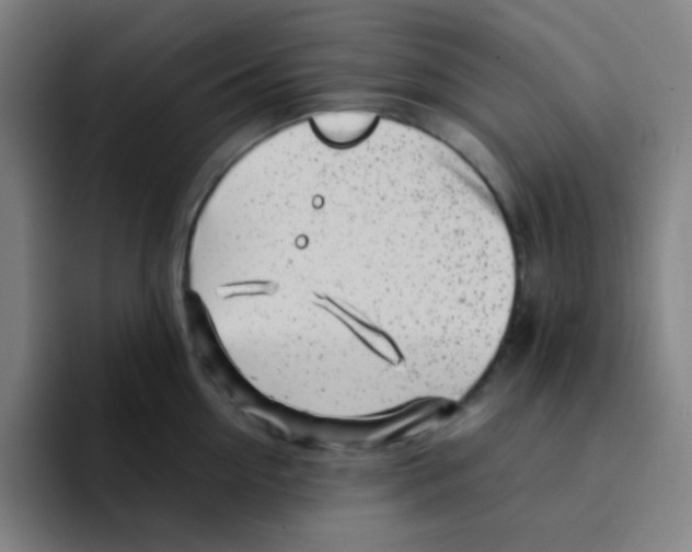 X0000094930954200712271550