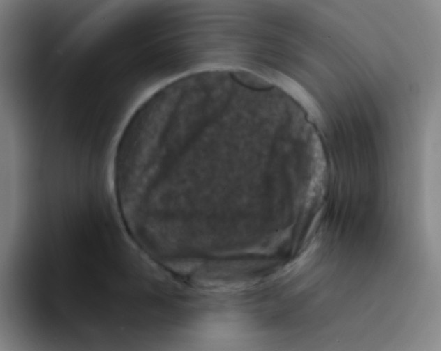 X0000094930958200712271550