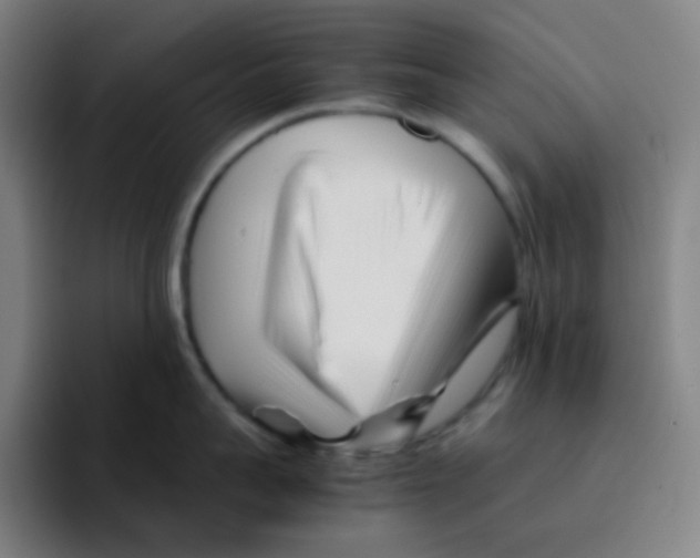 X0000094930959200712271550