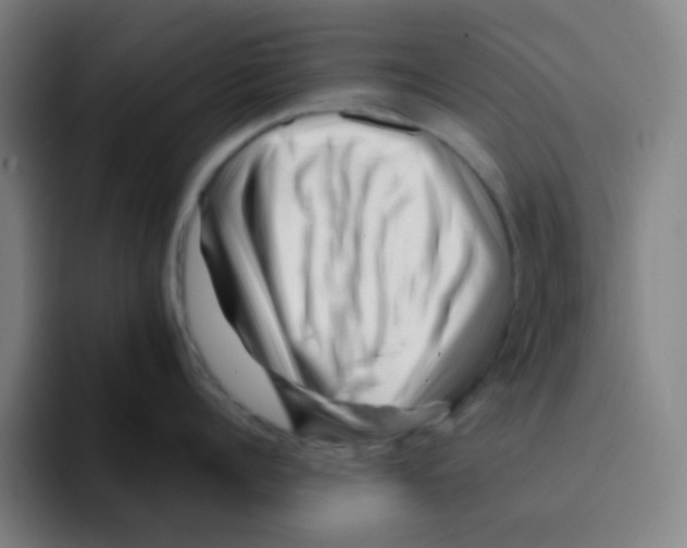 X0000094930960200712271550