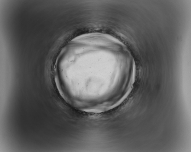 X0000094930961200712271549