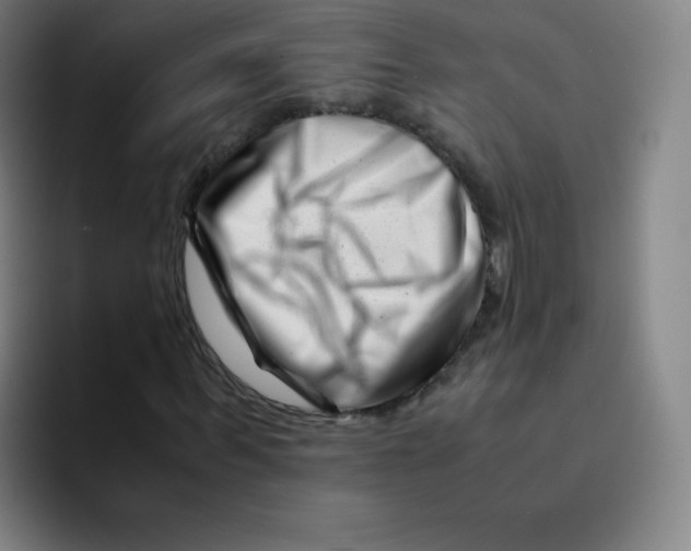 X0000094930963200712271549