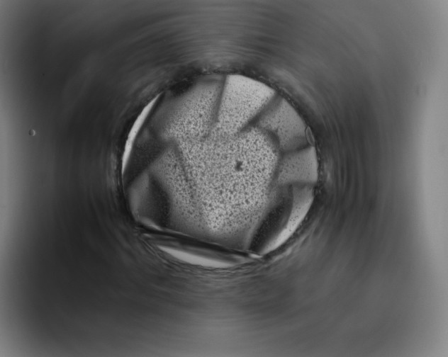 X0000094930964200712271549