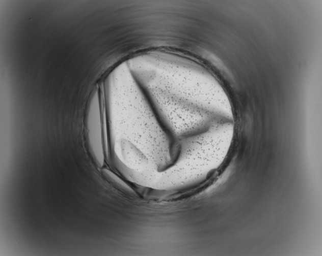 X0000094930977200712271549