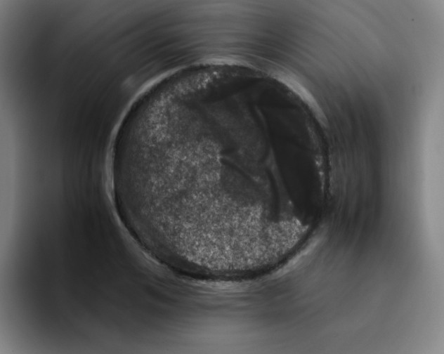 X0000094930984200712271549