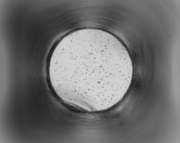 X0000094930987200712271549