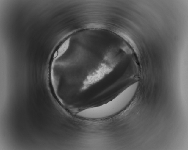 X0000094930992200712271549