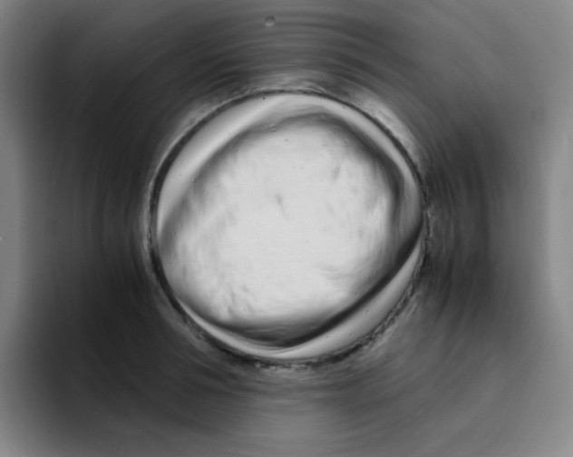 X0000094930994200712271549