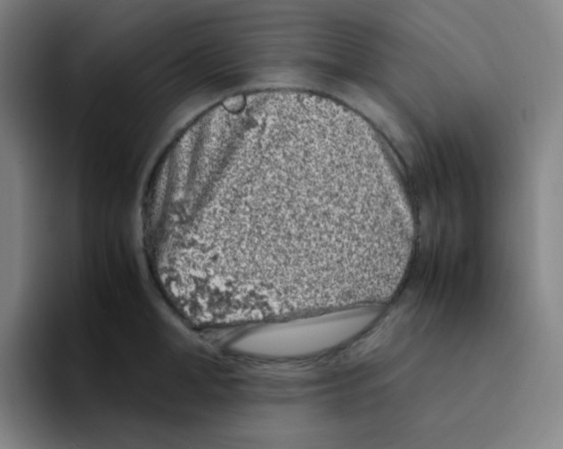 X0000094930998200712271549