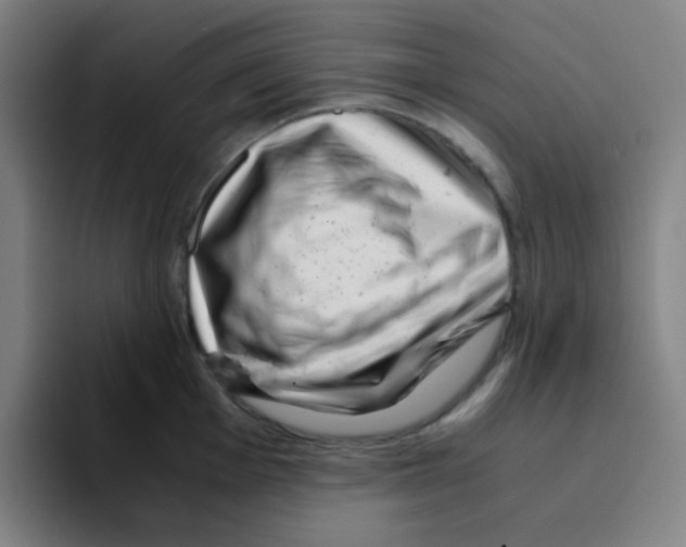 X0000094931001200712271549