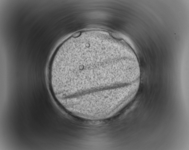 X0000094931003200712271549