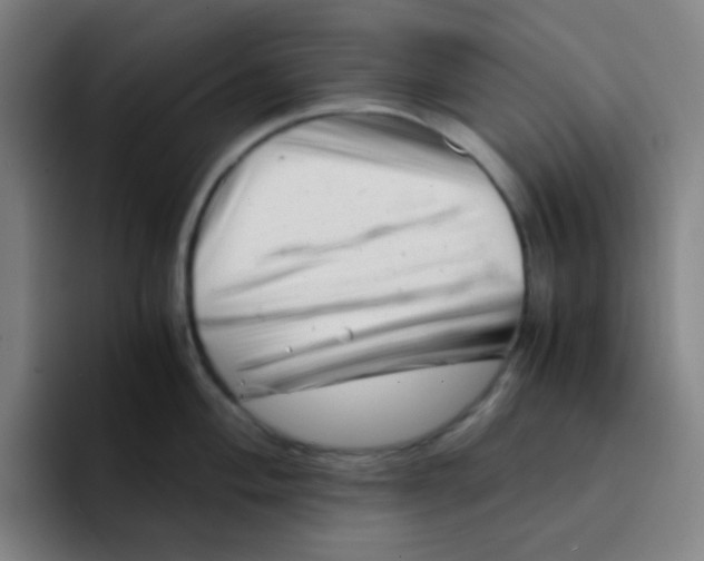 X0000094931004200712271549