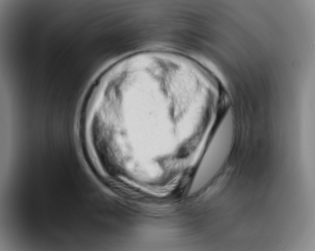 X0000094931007200712271549