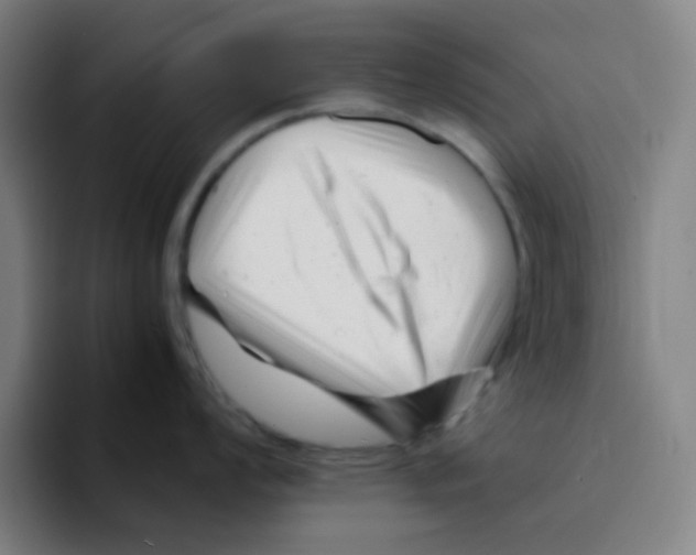 X0000094931008200712271549