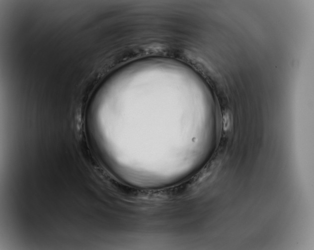 X0000094931011200712271548