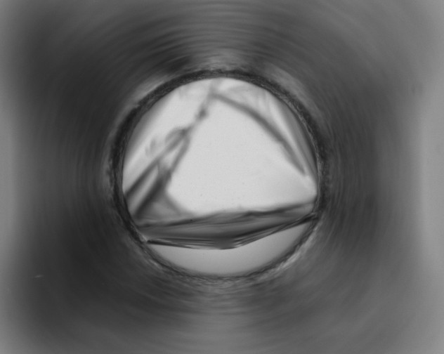 X0000094931018200712271548
