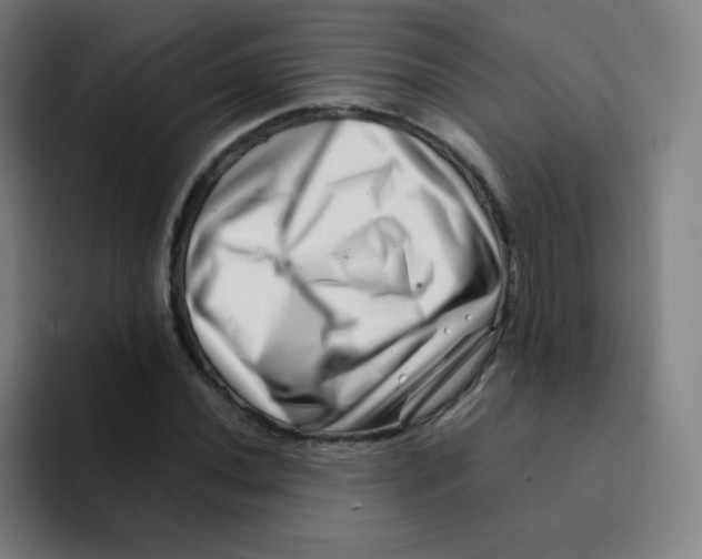 X0000094931020200712271548