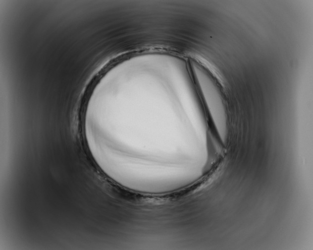 X0000094931023200712271548