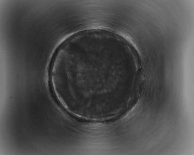 X0000094931024200712271548