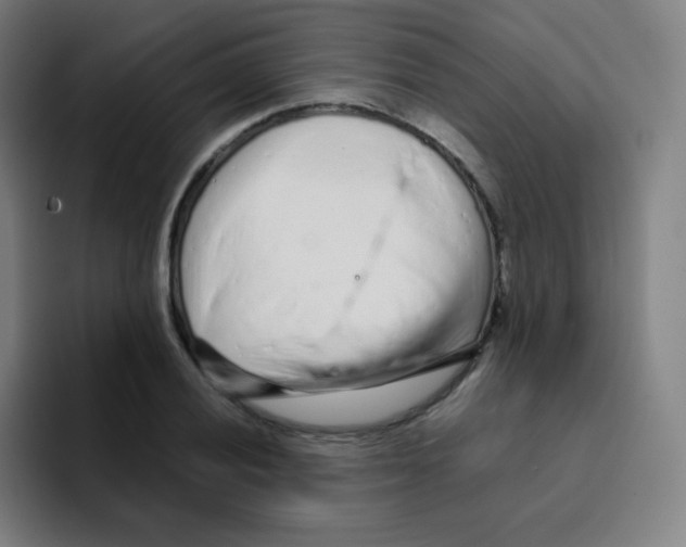 X0000094931028200712271548