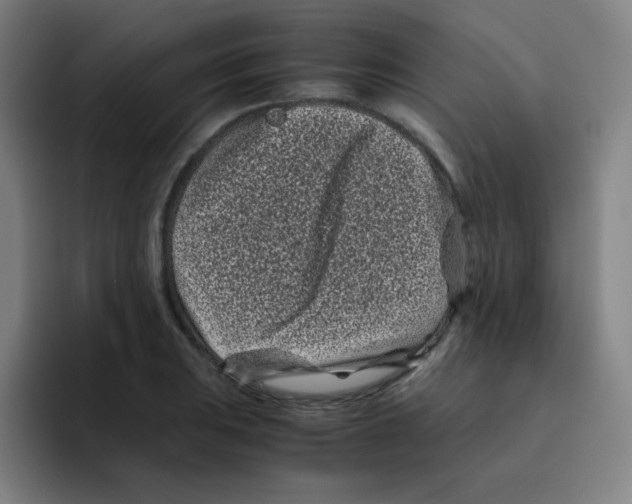 X0000094931031200712271548