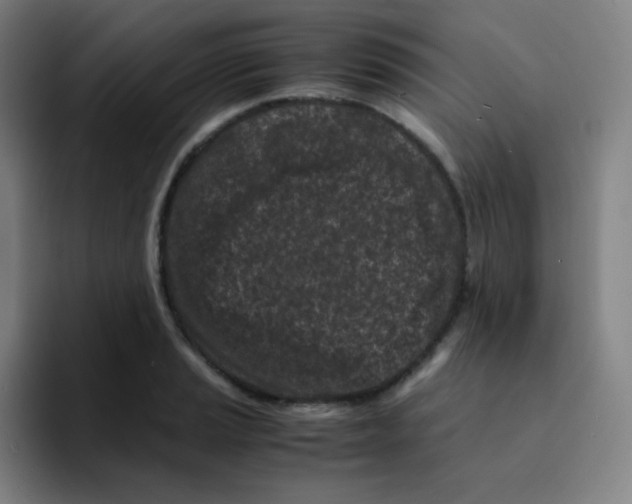 X0000094931037200712271549